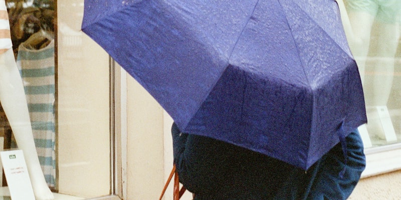 Term Life Insurance Vs. Whole Life Insurance: Which is bette