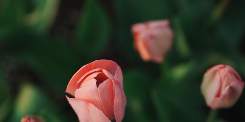 Early Detection of Cancer | Blood Testing Could Provide Assi