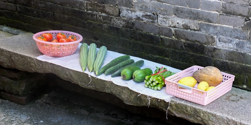 Heathly Eating Linked to Preventing Cancer | Help for Cancer