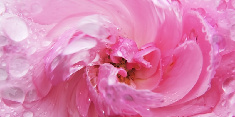 Chemotherapy Cause Cancer to Spread? Financial Assistance fo