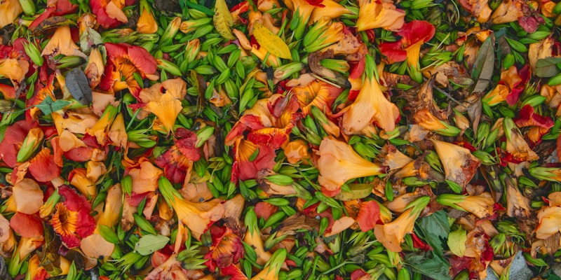 Deferment for Active Cancer Treatment Act | Life Credit Comp