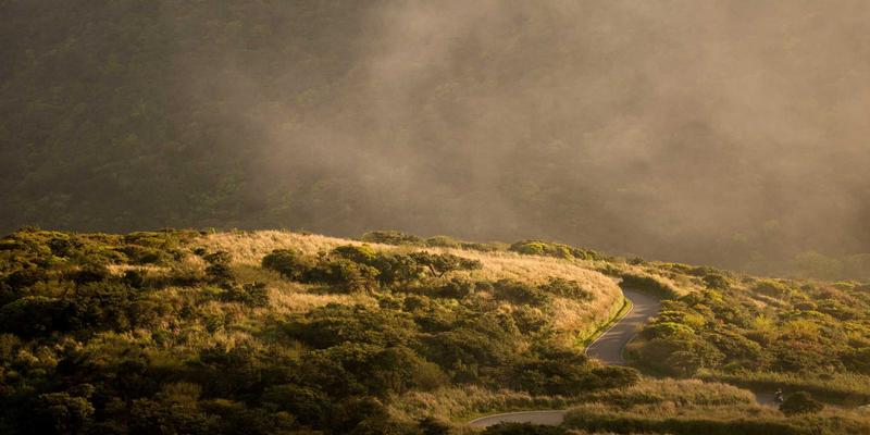 DNA Providing Help For Cancer Patients | Innovations in DNA