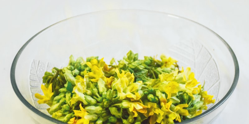 Finding Funding for Treatment | Financial Resources for Canc