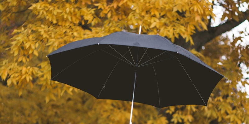 How does your Life Insurance Cash Value Build?