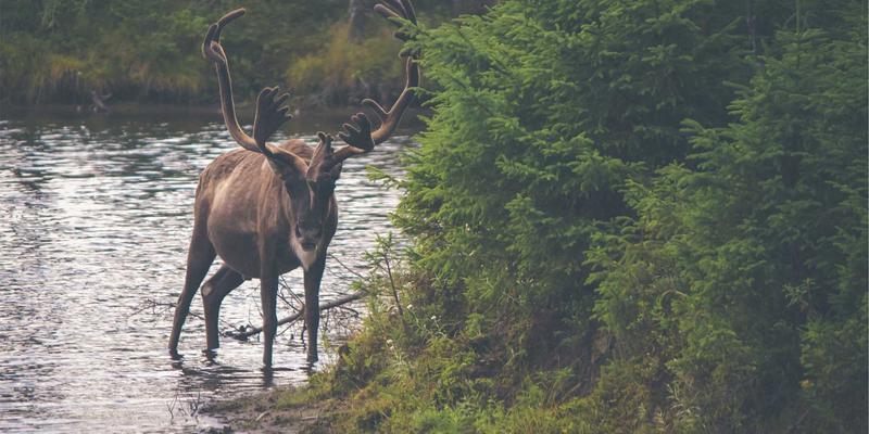 Medicate Recipients | Financial Resources for Cancer Patient