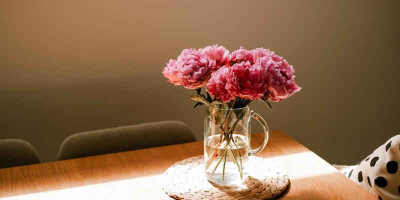 How NIA is Helping Cancer Patients