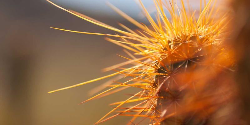 Mobile Game Helps Cancer Patients