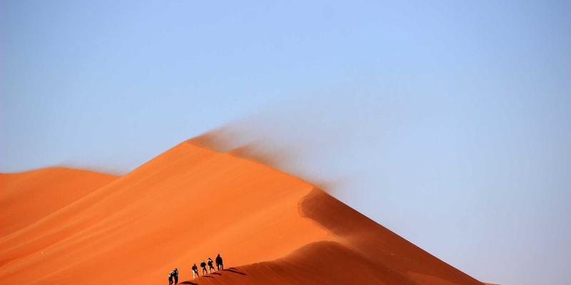 Healthy Cells to Fight Disease | Financial Help for Cancer P