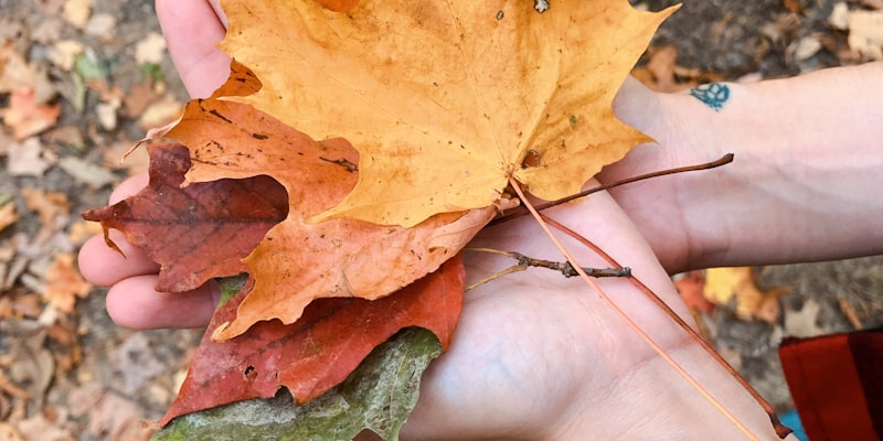 New Technology Offers Vital Resources for Cancer Patients | 