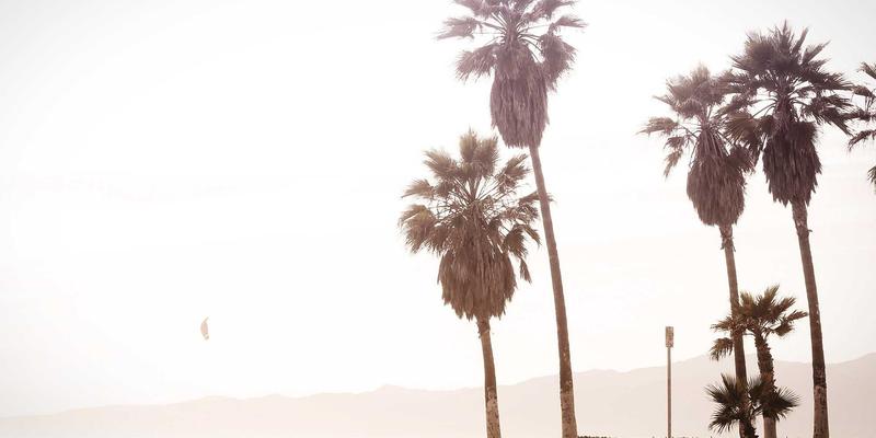 Life Insurance Loans - Borrow Against Life Insurance